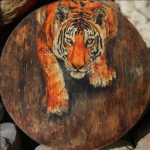 WhatsApp Image 2025-10-25 at 19.22.43