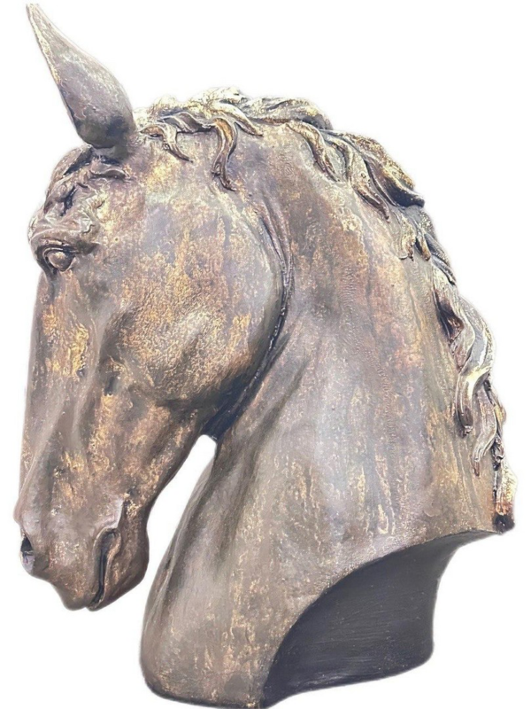 هيبة الخيل
